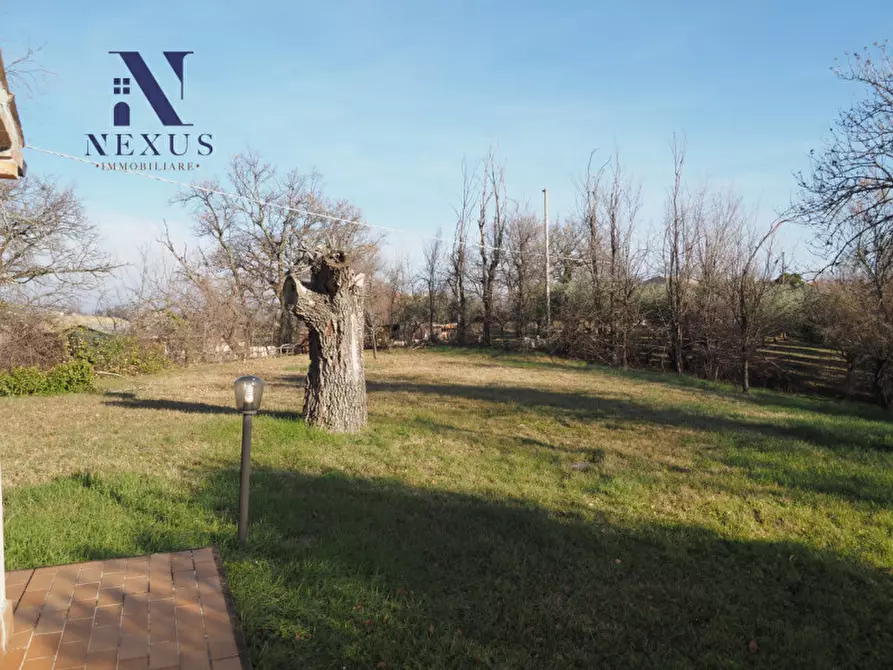 Immagine 10 di Rustico / casale in vendita  a Mondavio