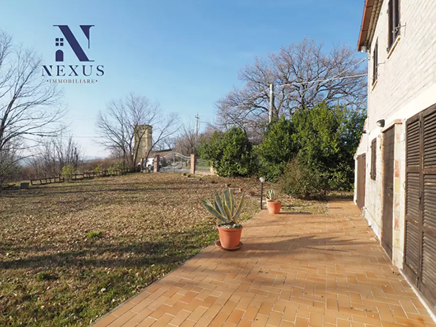 Immagine 11 di Rustico / casale in vendita  a Mondavio