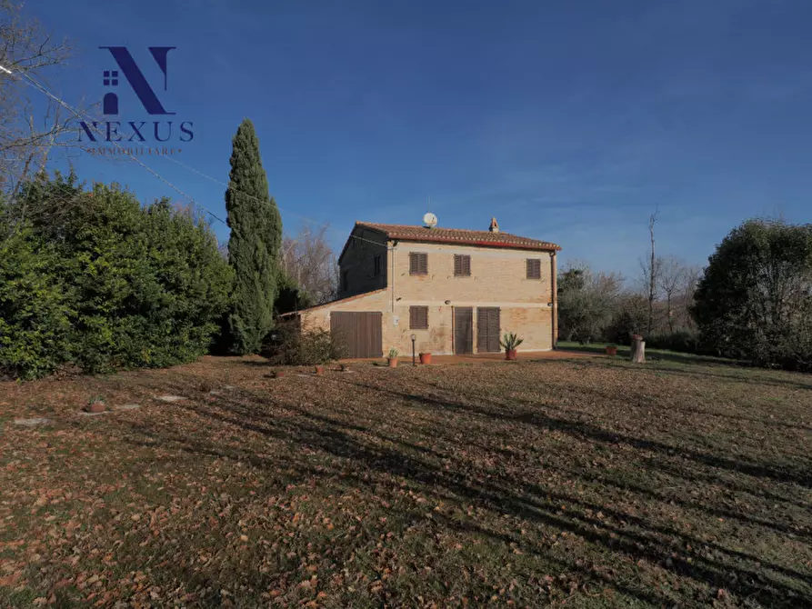 Immagine 30 di Rustico / casale in vendita  a Mondavio