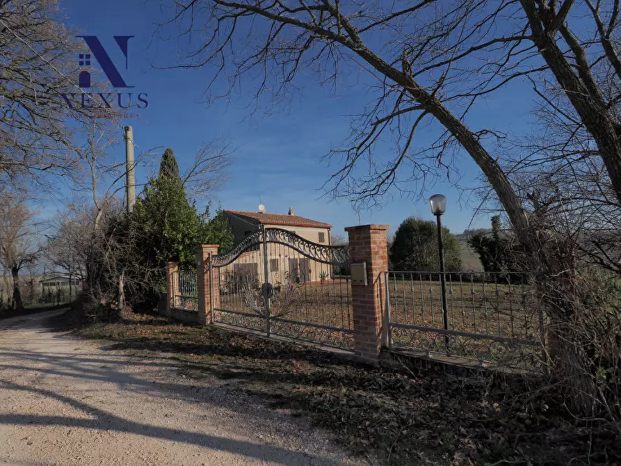 Immagine 31 di Rustico / casale in vendita  a Mondavio