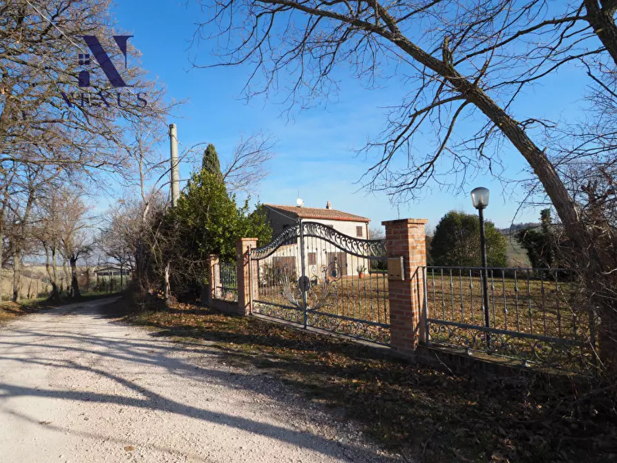 Immagine 32 di Rustico / casale in vendita  a Mondavio