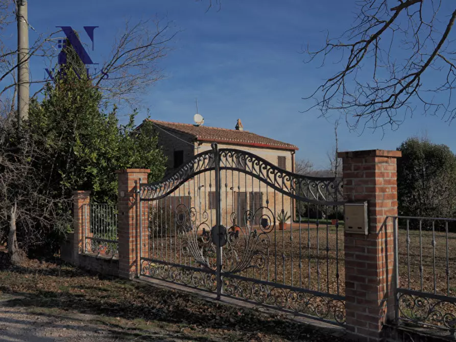 Immagine 33 di Rustico / casale in vendita  a Mondavio