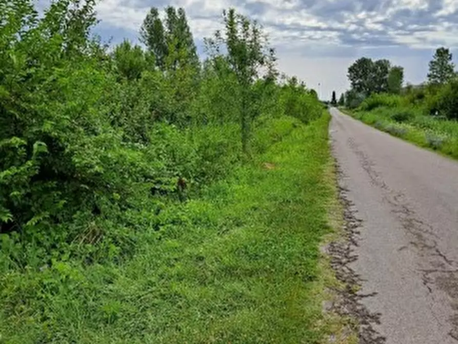 Immagine 3 di Terreno in vendita  in Via Fornace a Pordenone