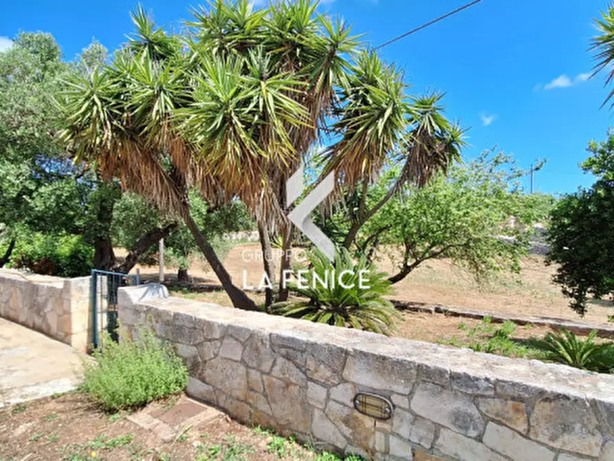 Immagine 13 di Rustico / casale in vendita  in contrada Mancinella a Locorotondo