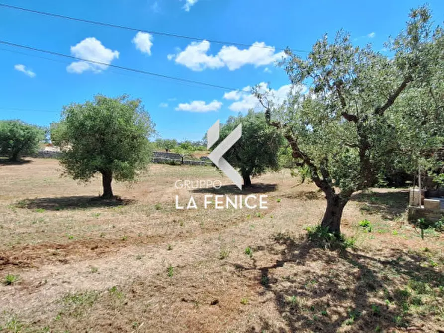 Immagine 17 di Rustico / casale in vendita  in contrada Mancinella a Locorotondo