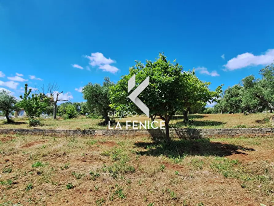 Immagine 18 di Rustico / casale in vendita  in contrada Mancinella a Locorotondo