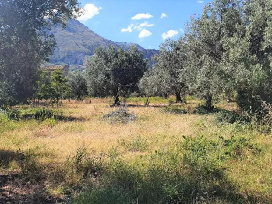 Immagine 1 di Terreno in vendita  in Contrada Albachiara, N. snc a Partinico