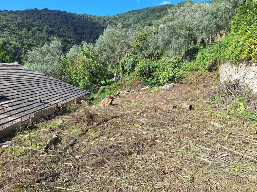 Immagine 11 di Terreno in vendita  in Via Castel Lombardo -  Loc. Centro Tre Denari, N. snc a Fiumicino