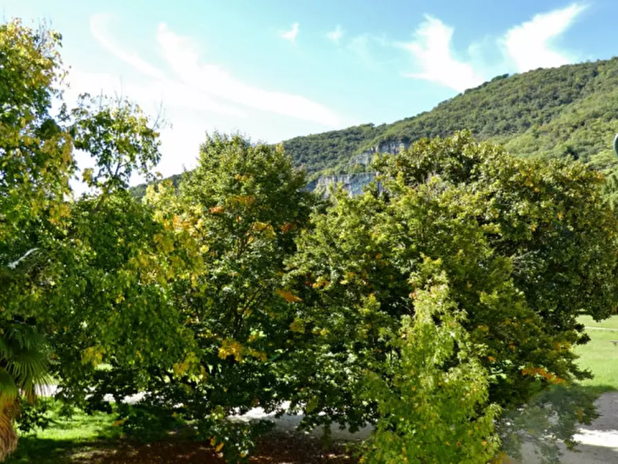 Immagine 15 di Appartamento in vendita  in Costozza a Longare