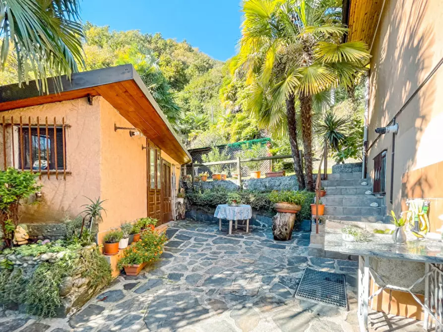 Immagine 49 di Villa in vendita  in Via Lago 44 a Nonio