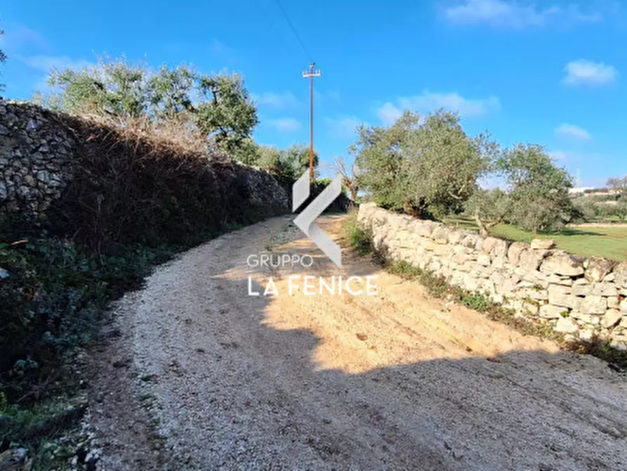 Immagine 3 di Rustico / casale in vendita  in Contrada Sisto a Locorotondo