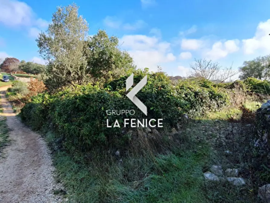 Immagine 4 di Rustico / casale in vendita  in Contrada Sisto a Locorotondo