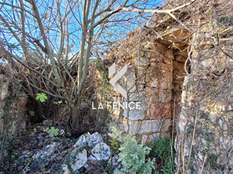 Immagine 5 di Rustico / casale in vendita  in Contrada Sisto a Locorotondo