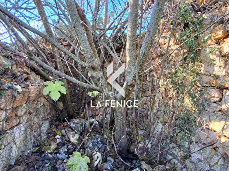 Immagine 6 di Rustico / casale in vendita  in Contrada Sisto a Locorotondo