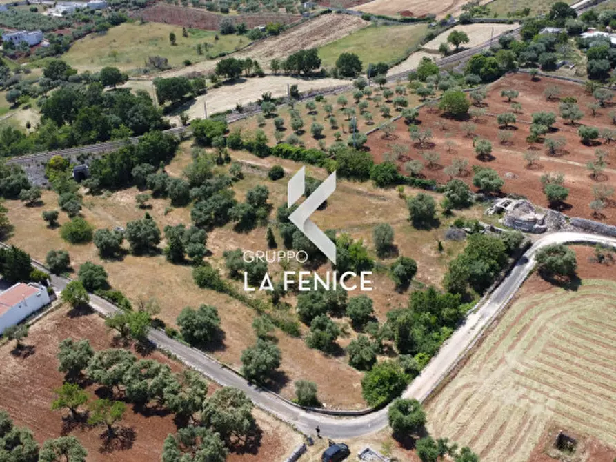 Immagine 6 di Rustico / casale in vendita  in Contrada Sisto a Martina Franca