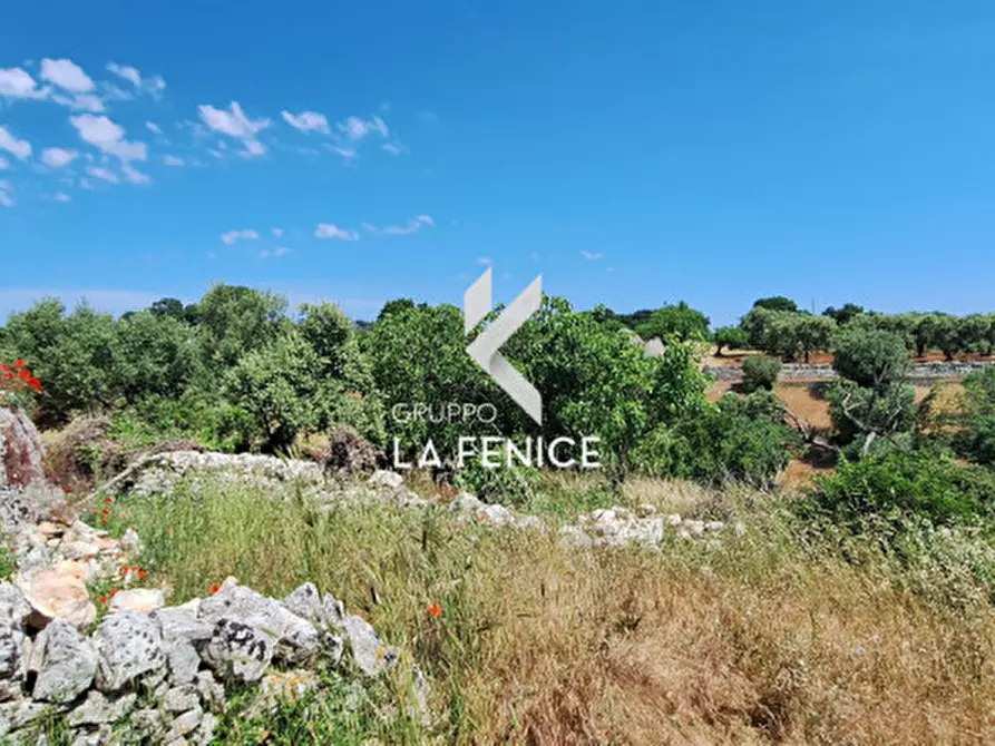 Immagine 10 di Rustico / casale in vendita  in Contrada Sisto a Martina Franca