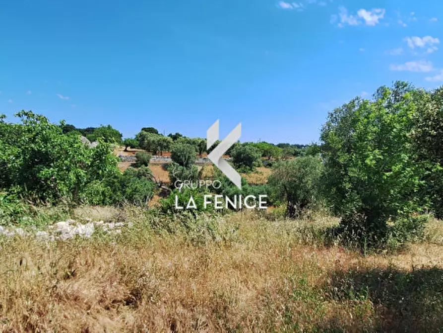 Immagine 11 di Rustico / casale in vendita  in Contrada Sisto a Martina Franca