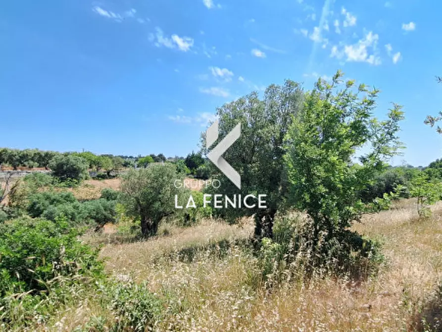 Immagine 12 di Rustico / casale in vendita  in Contrada Sisto a Martina Franca
