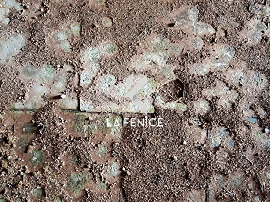 Immagine 15 di Rustico / casale in vendita  in Contrada Sisto a Locorotondo