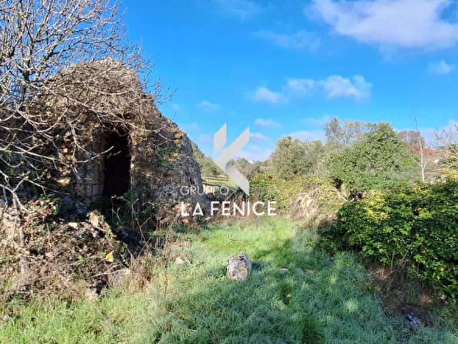 Immagine 17 di Rustico / casale in vendita  in Contrada Sisto a Locorotondo