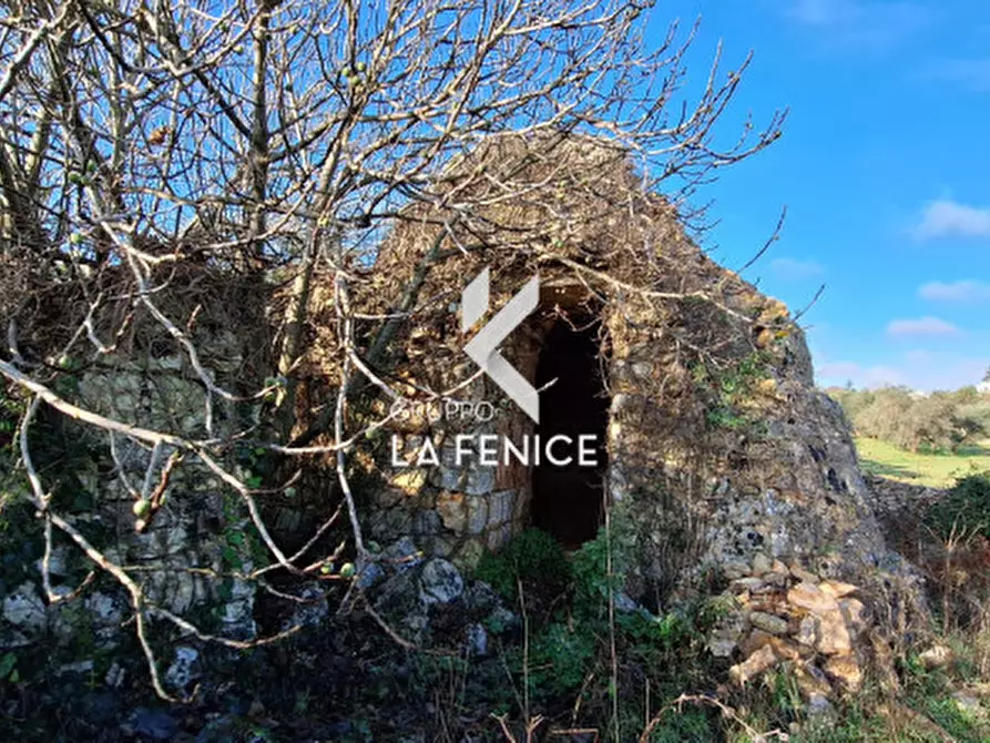 Immagine 18 di Rustico / casale in vendita  in Contrada Sisto a Locorotondo