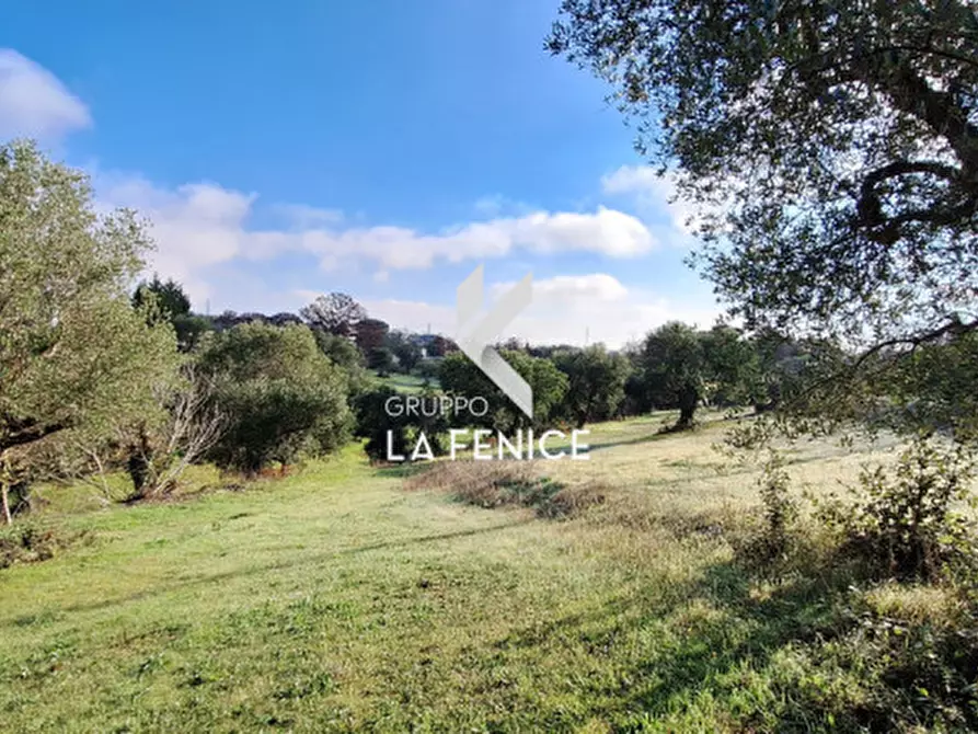 Immagine 19 di Rustico / casale in vendita  in Contrada Sisto a Locorotondo