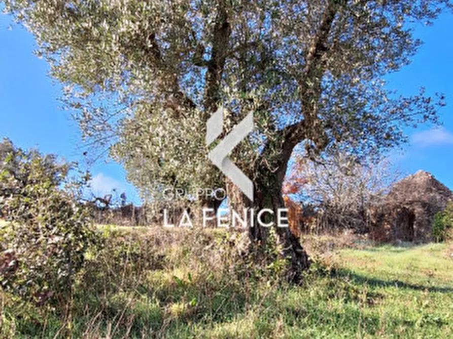 Immagine 20 di Rustico / casale in vendita  in Contrada Sisto a Locorotondo