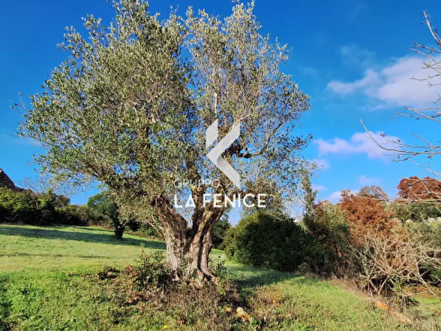 Immagine 21 di Rustico / casale in vendita  in Contrada Sisto a Locorotondo