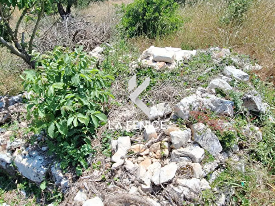 Immagine 27 di Rustico / casale in vendita  in Contrada Sisto a Martina Franca
