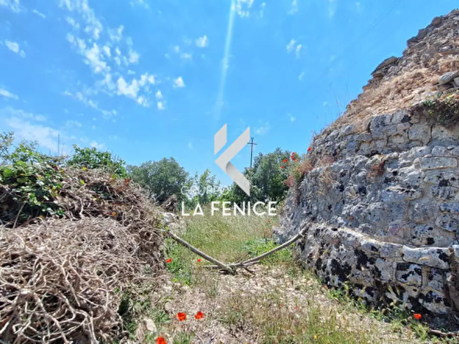 Immagine 31 di Rustico / casale in vendita  in Contrada Sisto a Martina Franca