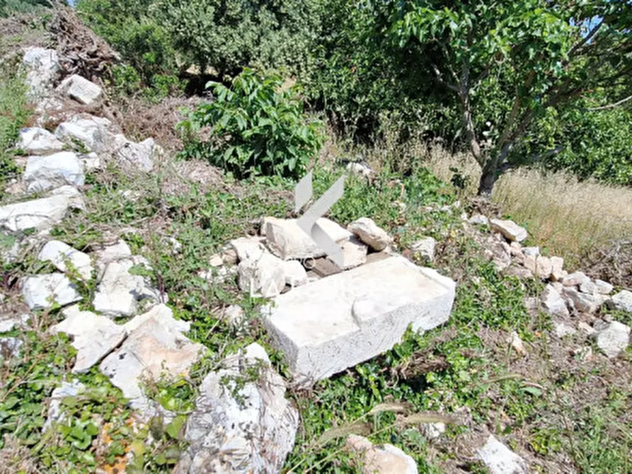 Immagine 34 di Rustico / casale in vendita  in Contrada Sisto a Martina Franca