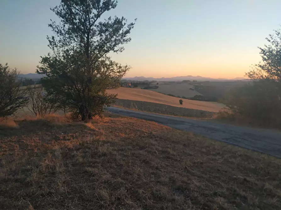 Immagine 1 di Terreno in vendita  a Agugliano