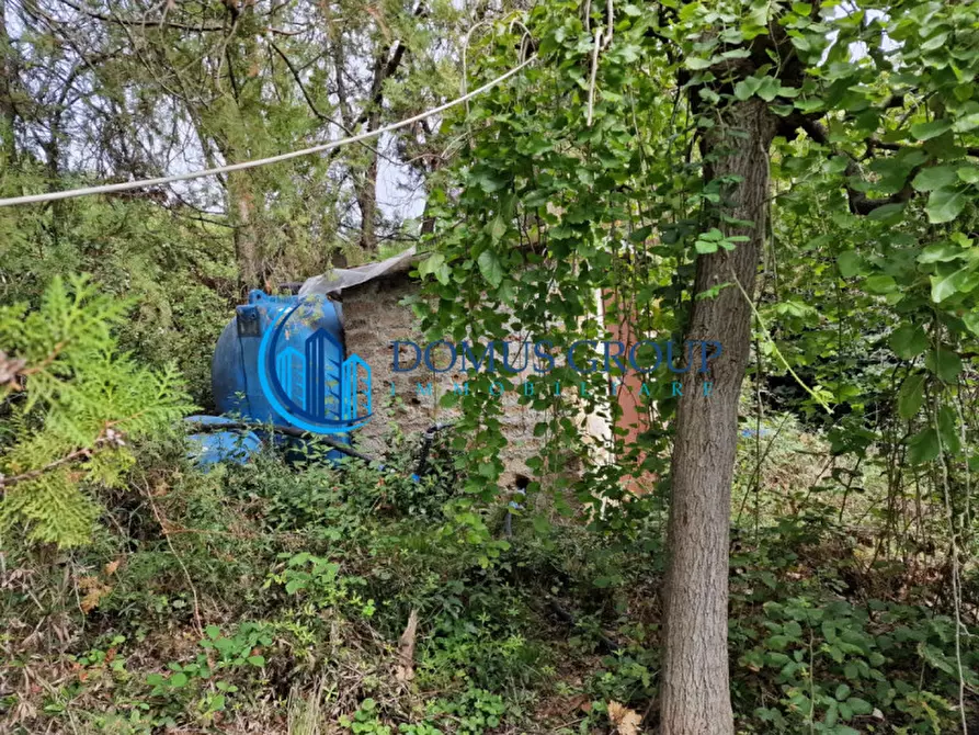 Immagine 46 di Rustico / casale in vendita  in Via Massa Clodiana a Roma