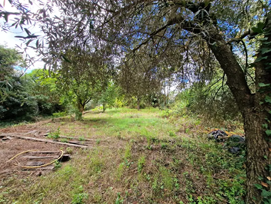 Immagine 47 di Rustico / casale in vendita  in Via Massa Clodiana a Anguillara Sabazia