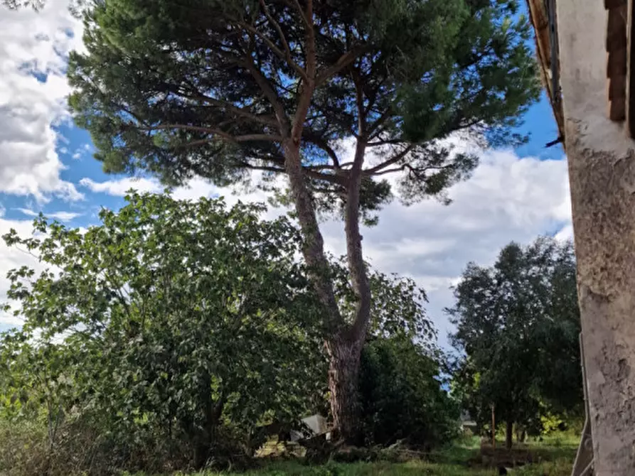 Immagine 48 di Rustico / casale in vendita  in Via Massa Clodiana a Anguillara Sabazia