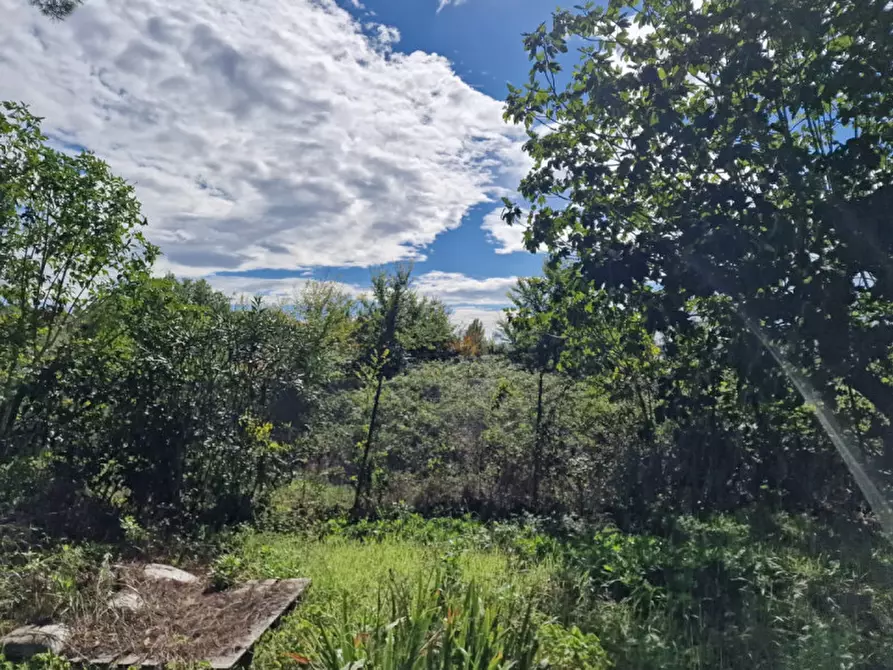 Immagine 49 di Rustico / casale in vendita  in Via Massa Clodiana a Anguillara Sabazia