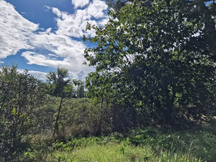 Immagine 50 di Rustico / casale in vendita  in Via Massa Clodiana a Anguillara Sabazia