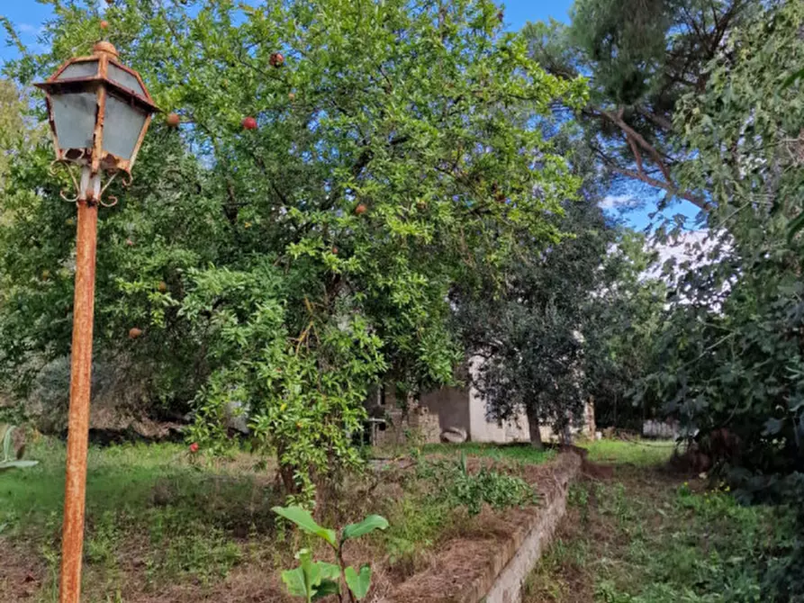 Immagine 51 di Rustico / casale in vendita  in Via Massa Clodiana a Anguillara Sabazia