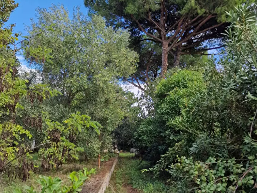Immagine 53 di Rustico / casale in vendita  in Via Massa Clodiana a Anguillara Sabazia
