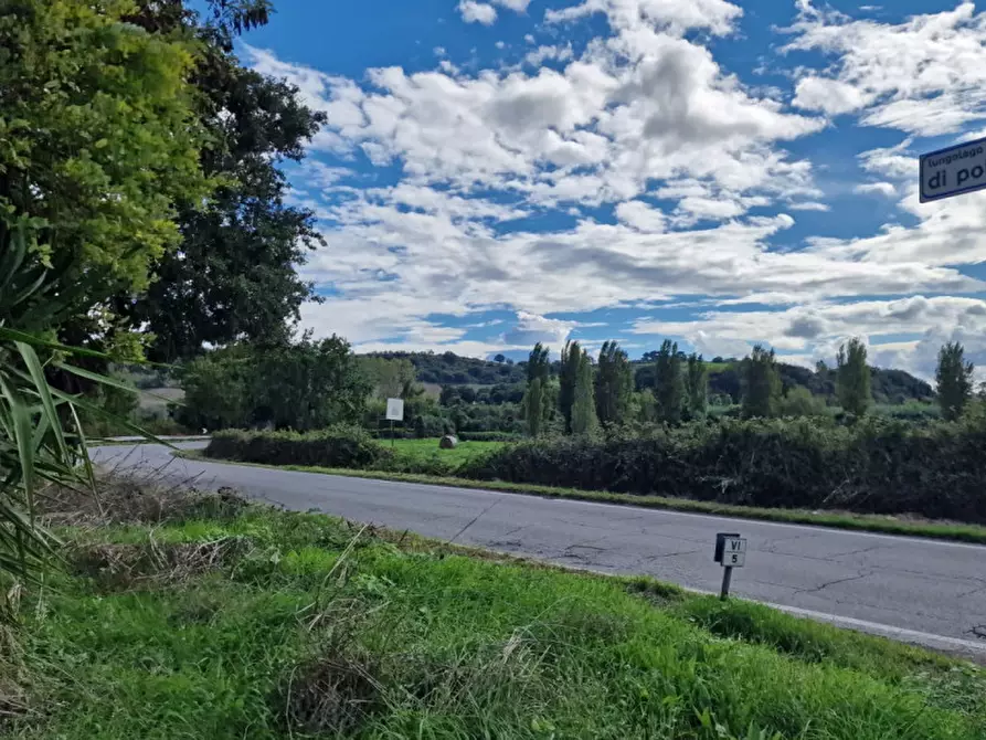 Immagine 55 di Rustico / casale in vendita  in Via Massa Clodiana a Anguillara Sabazia