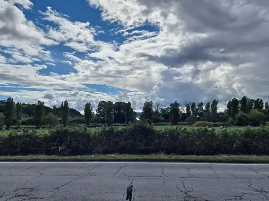 Immagine 56 di Rustico / casale in vendita  in Via Massa Clodiana a Anguillara Sabazia