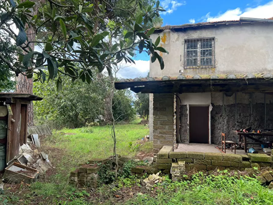 Immagine 62 di Rustico / casale in vendita  in Via Massa Clodiana a Anguillara Sabazia