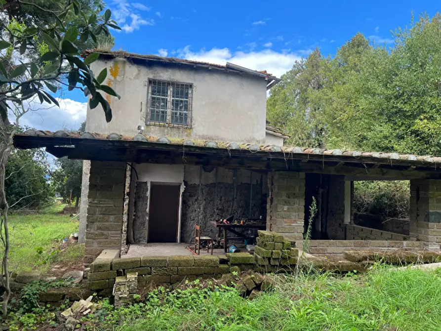 Immagine 64 di Rustico / casale in vendita  in Via Massa Clodiana a Anguillara Sabazia