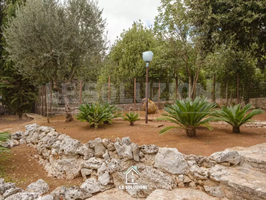 Immagine 7 di Villa in vendita  in viale delle acacie 2/N a Putignano