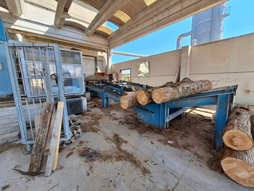 Immagine 11 di Capannone industriale in vendita  in Via del Molino, N. 7 a Monte Castello Di Vibio