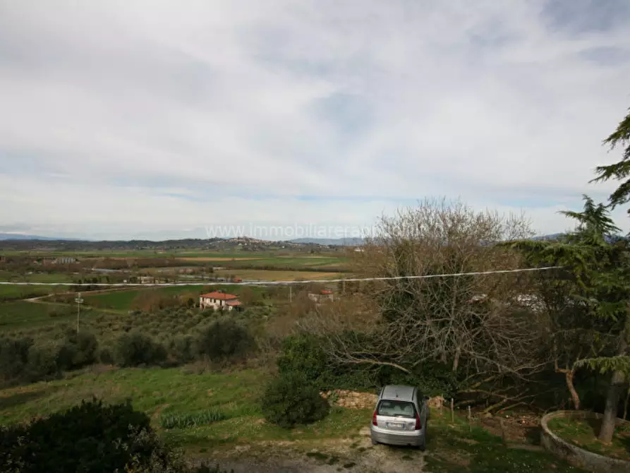 Immagine 22 di Rustico / casale in vendita  a Sinalunga