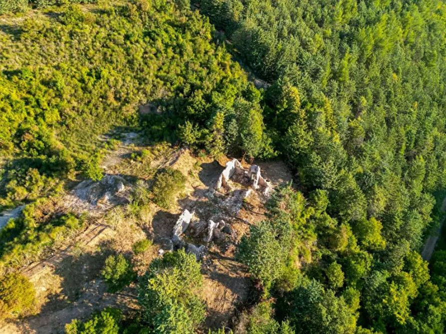 Immagine 7 di Rustico / casale in vendita  in Località I Fitti a Urbania