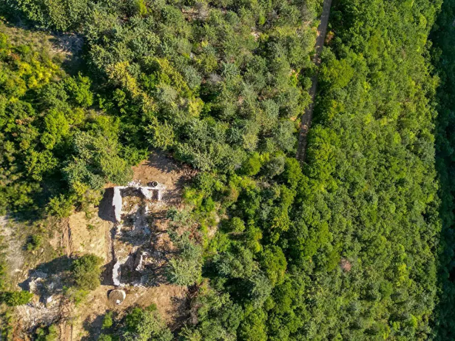 Immagine 8 di Rustico / casale in vendita  in Località I Fitti a Urbania
