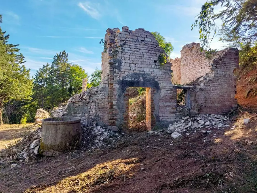 Immagine 12 di Rustico / casale in vendita  in Località I Fitti a Urbania