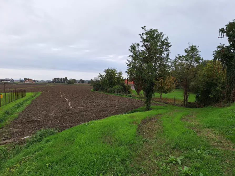 Immagine 1 di Terreno in vendita  in Via Bellini a Rovigo